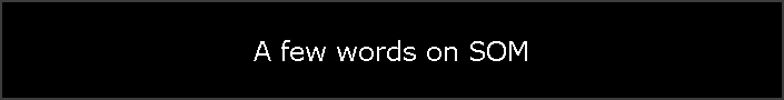 A few words on SOM
